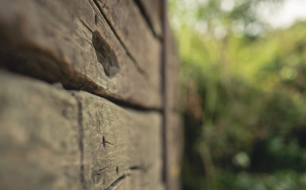 Nahaufnahme von Holz mit Grünschnitt im Hintergrund.