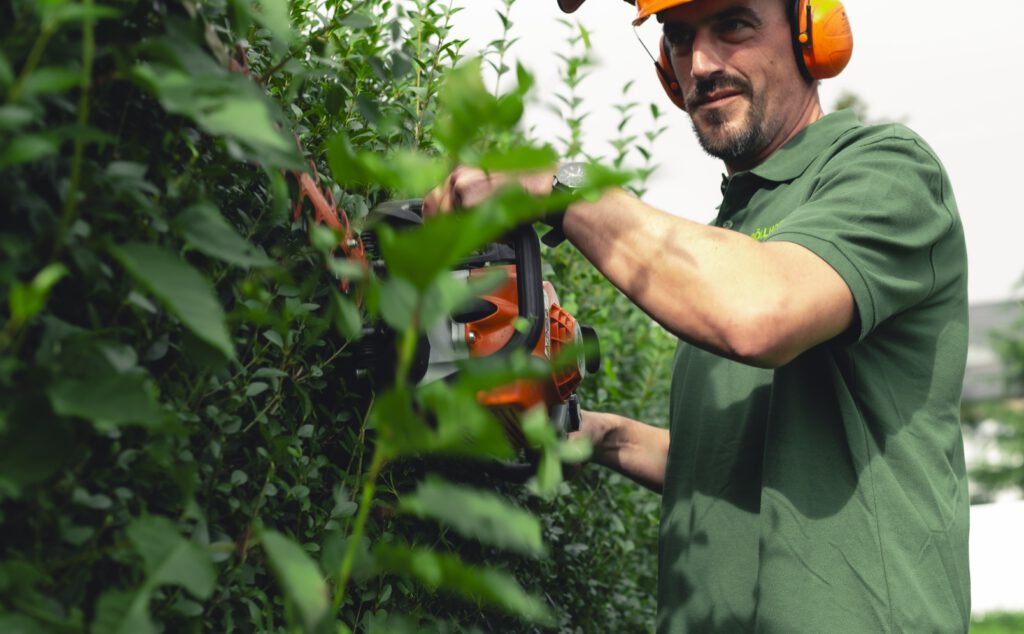 Mann schneidet Hecke mit Heckenschere.